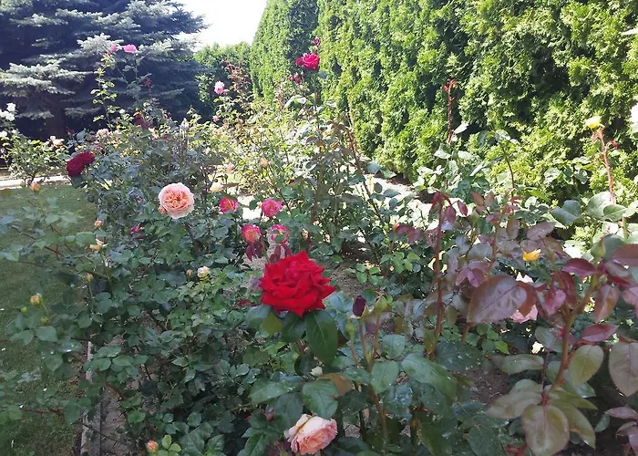 Napfeny Casa de hóspedes 3*